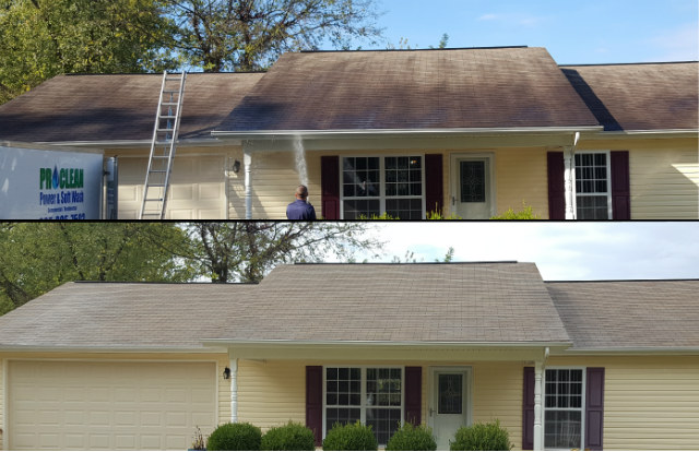 Roof Cleaning Roof soft wash